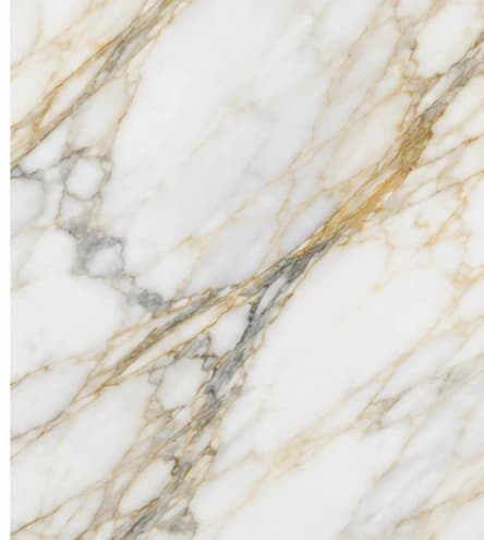 Statuario vs Calacatta Gold Marble